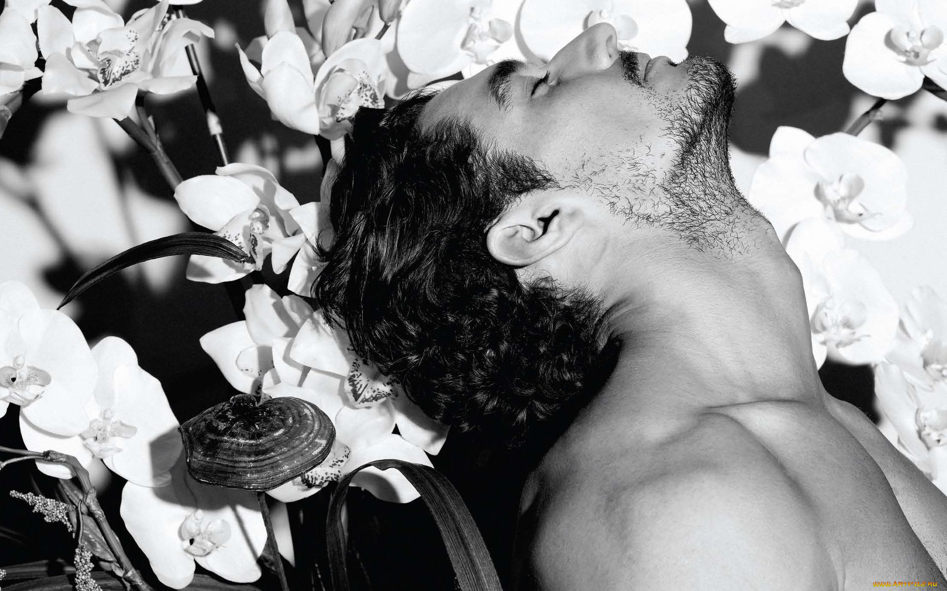 david, gandy, 